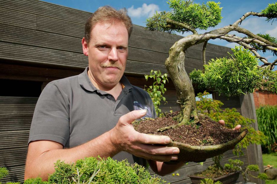 Kleurportret van bonsai-aficionado Geert Vangaever